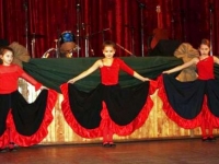 Kėdainių kultūros centro mergaičių šiuolaikinio šokio grupė „Mistika“ (vadovė Žydrė Jasudavičienė)